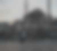 صورة العضو