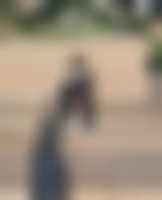 Member's photo