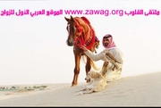 موقع زواج