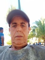 صورة العضو